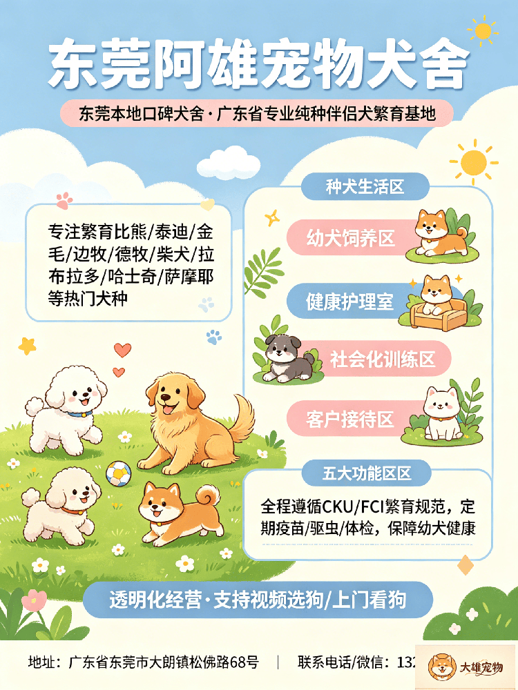 工作咨询 (52).png